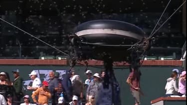 Tennis - Indian Wells, invasion d'abeilles, le 14 mars 2024