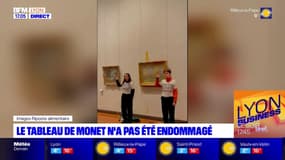 Lyon: le tableau de Monet n'a pas été endommagé par l'action des militantes