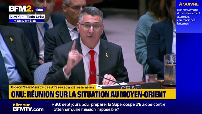Gaza: le ministre des Affaires étrangères israélien dénonce ces pays qui ont mis 