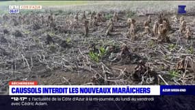 Caussols: le maire interdit les nouveaux maraîchers pour lutter contre la sécheresse