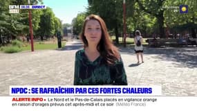 Fortes chaleurs dans les Hauts-de-France: où se rafraîchir? 