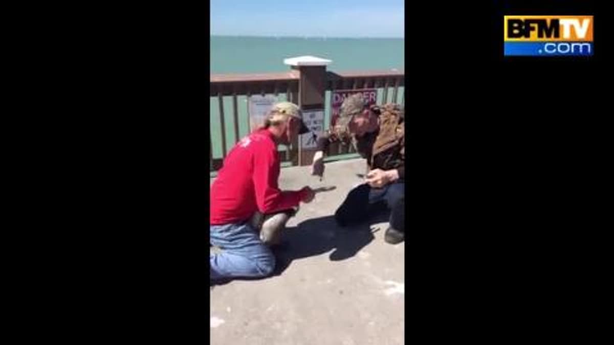 placeholder video