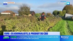 Eure: ancien journaliste, Jérôme Lecoq produit du CBD
