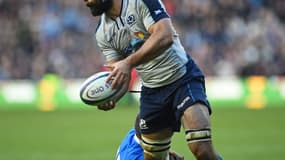 Josh Strauss