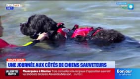 Golfe-Juan : une journée aux côtés de chiens sauveteurs et les enfants dans le besoin