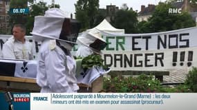 Surmortalité des abeilles: les apiculteurs en crise en appellent à l'Elysée
