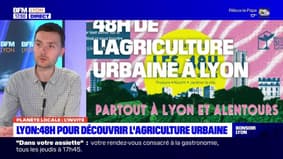 Planète Locale du lundi 20 mai - Lyon : 48h pour découvrir l'Agriculture Urbaine 