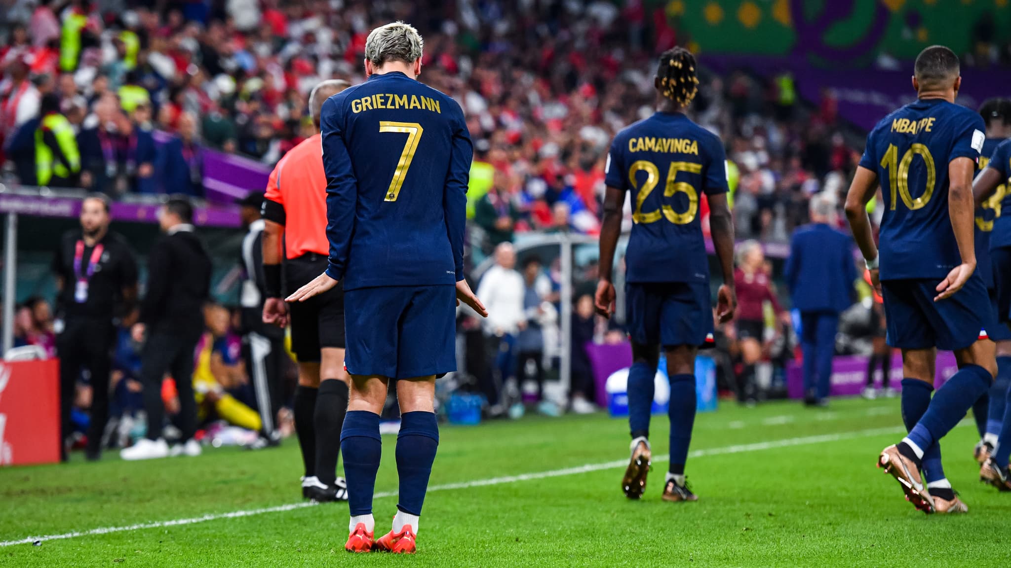 La célébration pingouin de Griezmann contre la Tunisie La célébration pingouin de Griezmann contre la Tunisie