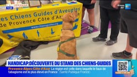 Forum vivre le handicap ensemble à Antibes : découverte du stand des chiens-guides