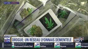 Six kilos de cocaïne, 47 kilos de résine de cannabis et 238.000 euros saisis: un important réseau de trafic de drogue démantelé à Lyon