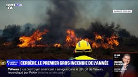 Pyrénées-Orientales: le premier gros incendie de l'année a parcouru plus de 930 hectares autour de Cerbère