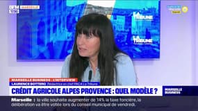Marseille Business : Crédit agricole Alpes Provence : Quel modèle?