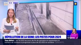 Dépollution de la Seine: les pistes pour 2024