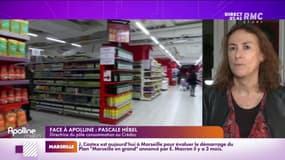 Hébel : "Il y a un problème en France avec le poids du logement"