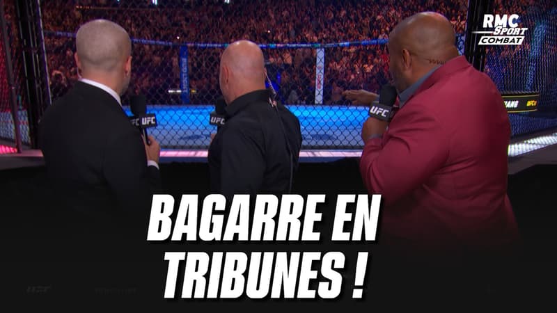 UFC 322 : les images de la bagarre gÃ©nÃ©rale en tribunes avant le combat de Saint Denis 