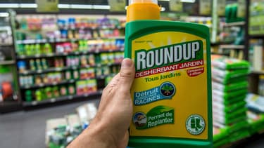 Une bouteille de RoundUp, produit de Monsanto contenant du glyphosate, un herbicide au coeur d'une controverse en Europe, le 15 juin 2015 dans une jardinerie de Lille.