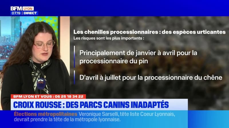 BFM Lyon et Vous: des parcs canins inadaptés en raison de chenilles à la Croix-Rousse