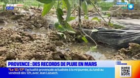 Provence: des records de pluie en mars