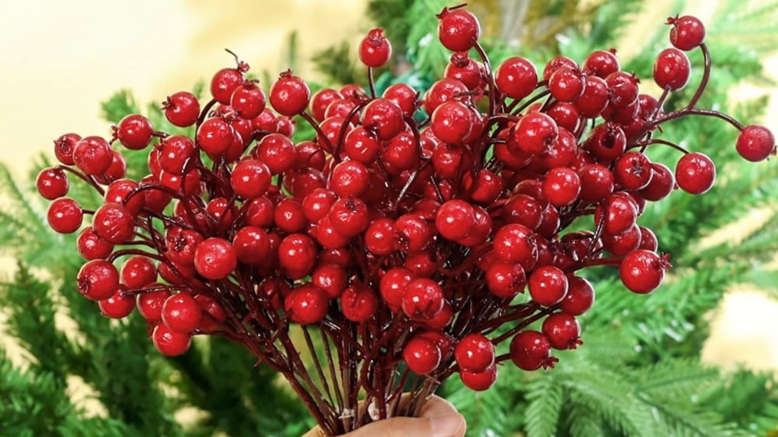 Amazon Haul Amazon Haul