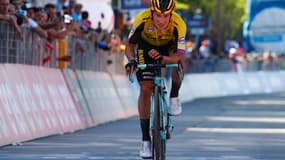 Roglic