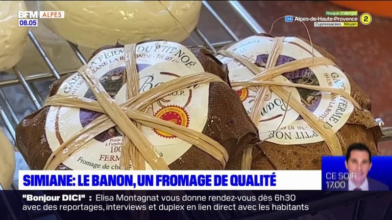 Simiane-la-Rotonde: le Banon, un fromage de qualité