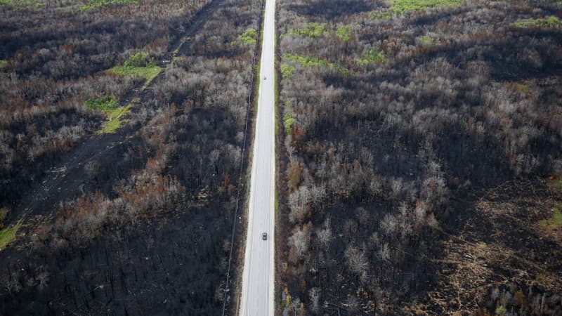 Mégafeux au Canada: la barre des 10 millions d'hectares brûlés franchie