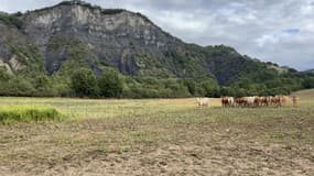 À Gap, la vente du terrain des Cristayes a été préemptée par la SAFER 05