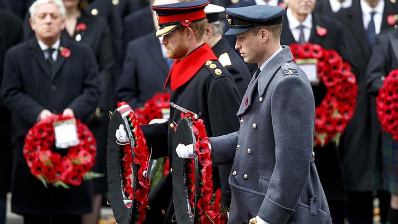 Les princes Harry et William, lors des commémorations militaires du Jour du souvenir, le 12 novembre 2017.