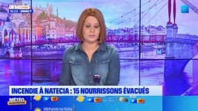 Le journal de 18h du lundi 2 février 2026