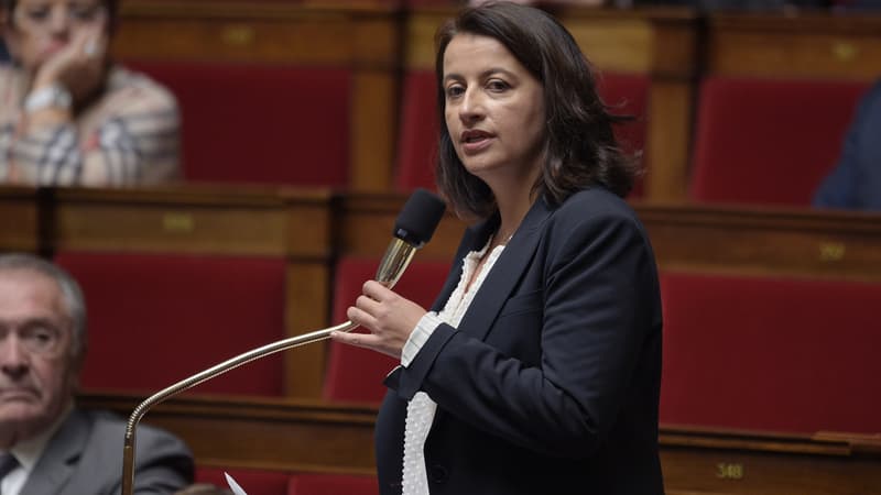 Cécile Duflot a demandé au gouvernement de mettre un terme aux "projets stupides et dangereux" citant également la ferme des 1.000 vaches.
