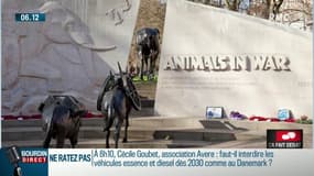 Polémique autour de la création d’un monument dédié aux animaux morts pour la France