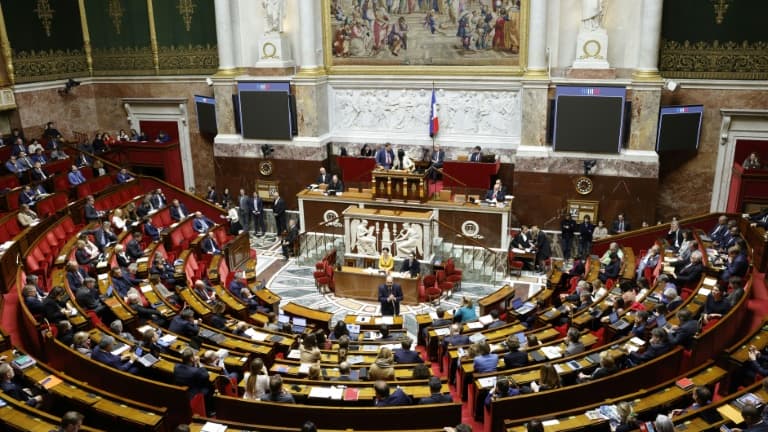 Une quarantaine de députés Renaissance appellent à la lutte contre le harcèlement scolaire ce dimanche dans le JDD (illustration : vue générale de l'Assemblée nationale le 24 novembre 2022 à Paris).