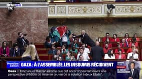 La députée LFI Rachel Keke brandit un drapeau palestinien à l'Assemblée nationale, une semaine après Sébastien Delogu