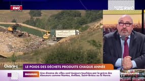 Les Français ont très peu réduit leur production de déchets annuelle