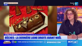 Île-de-France: les bûches, dessert star de Noël