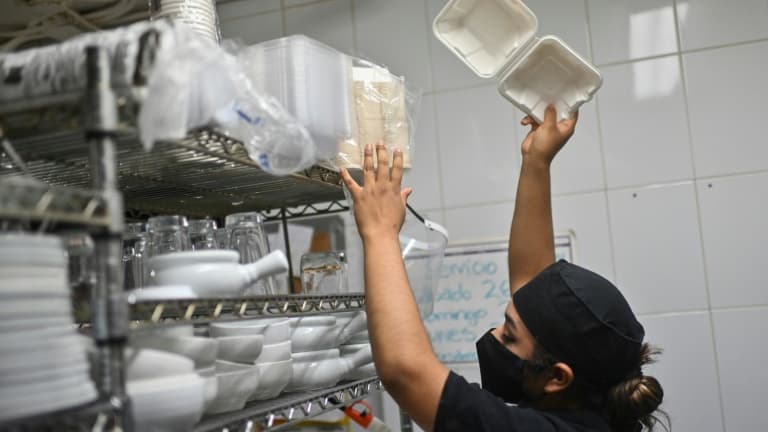 Les emballages alimentaires à base de fibres végétales peuvent contenir des substances nocives et ne sont pas forcément très durables