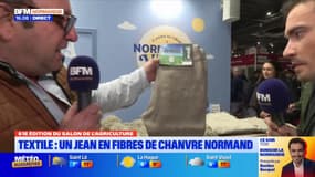 Salon de l’Agriculture: un jeans en fibres de chanvre normand