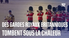 Des gardes royaux britanniques s'évanouissent à cause de la chaleur, en pleine répétition  