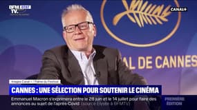 Cannes: une sélection pour soutenir le cinéma - 04/06