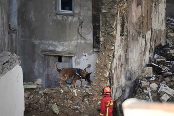 Un pompier recherche avec son chien des survivants dans les décombres d'un immeuble d'habitation, le 10 avril 2023 à Marseille