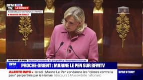 Israël/Hamas: "On ne demande pas à des terroristes de cesser le feu, mais de déposer les armes et de libérer les otages, c'est tout", affirme Marine Le Pen (RN)