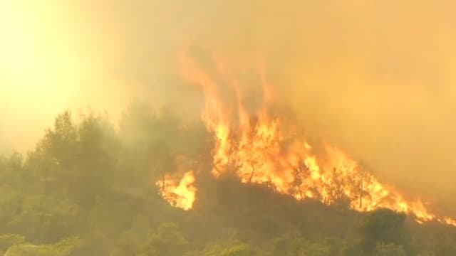 L'incendie qui a touché le nord de Marseille a détruit plus de 3.000 hectares de garrigue