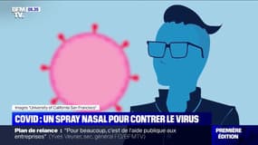 Covid-19: un spray nasal à l'étude pour neutraliser le virus