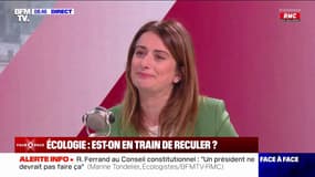 Interdiction des PFAS: "Il faut interdire à la source pour arrêter la contamination, avant de s'occuper de la décontamination", affirme Marine Tondelier