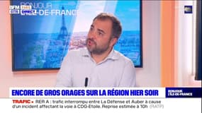 Paris: Emile Meunier, conseiller écologiste, explique qu'il faut un "plan pour faire des hectares supplémentaires de pleine terre"