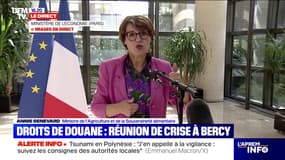 Droits de douane de 15% pour l'UE: "C'est un accord déséquilibré", indique Annie Genevard, ministre de l'Agriculture