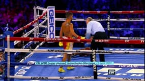 Lomachenko, les plus beaux KO du "Picasso de la boxe"