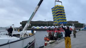 Les bateaux de plus de 8 mètres ne pourront plus sortir jusqu'au 20 février pour réduire la capture accidentelle de dauphins et marsouins