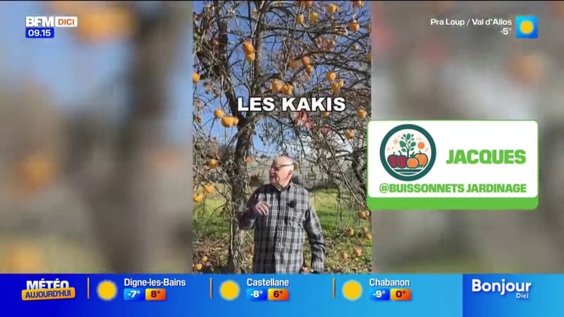 Mais d'où vient la galette des rois ? - La météo de Colas du mardi 6 janvier 2025