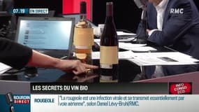 Les secrets du vin bio dans "Dupin Quotidien"